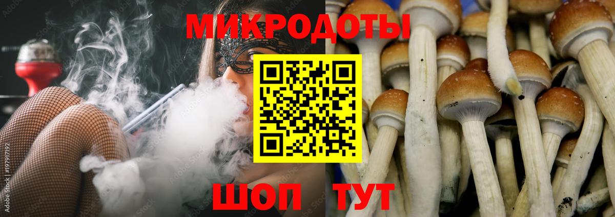 наркошоп  Вход с VPN  Ивантеевка  Псилоцибиновые грибы прущие грибы 